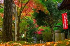 京都の寺巡り