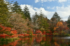 紅葉