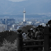 清水の舞台から