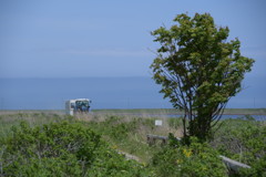 C30D976B-330B-4ABD-A24C-848A75DBA88C