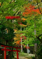 泉湧寺