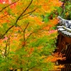 京都 泉湧寺