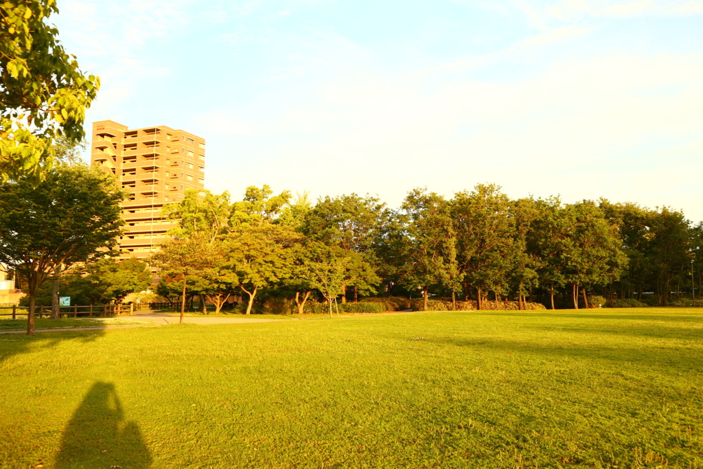 公園とわたし