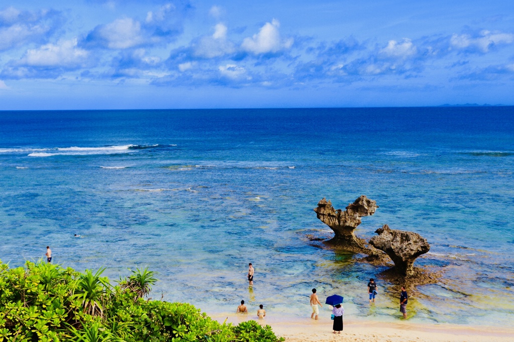 夏の思い出