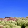 季節の変わり目を見守るベンチ