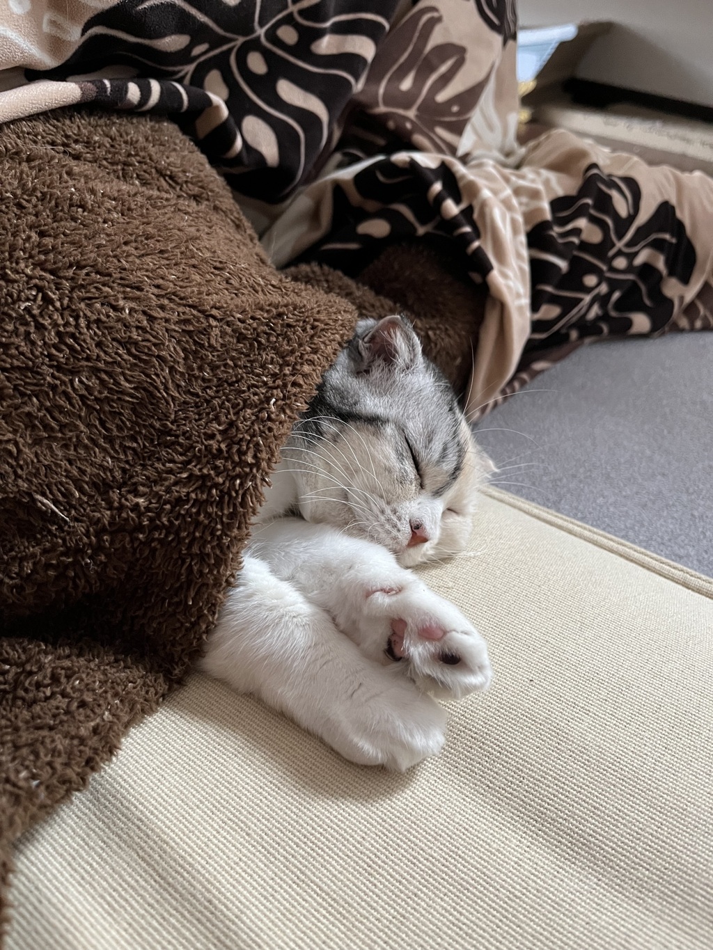 こたつで一息