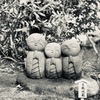 お願いします！