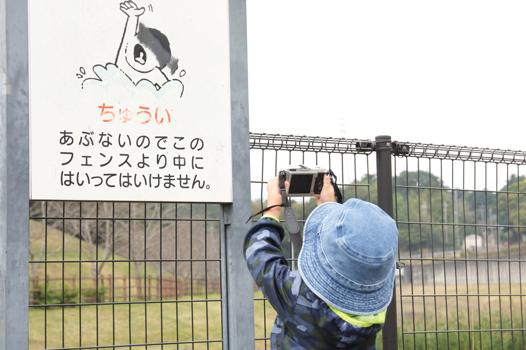 被写体