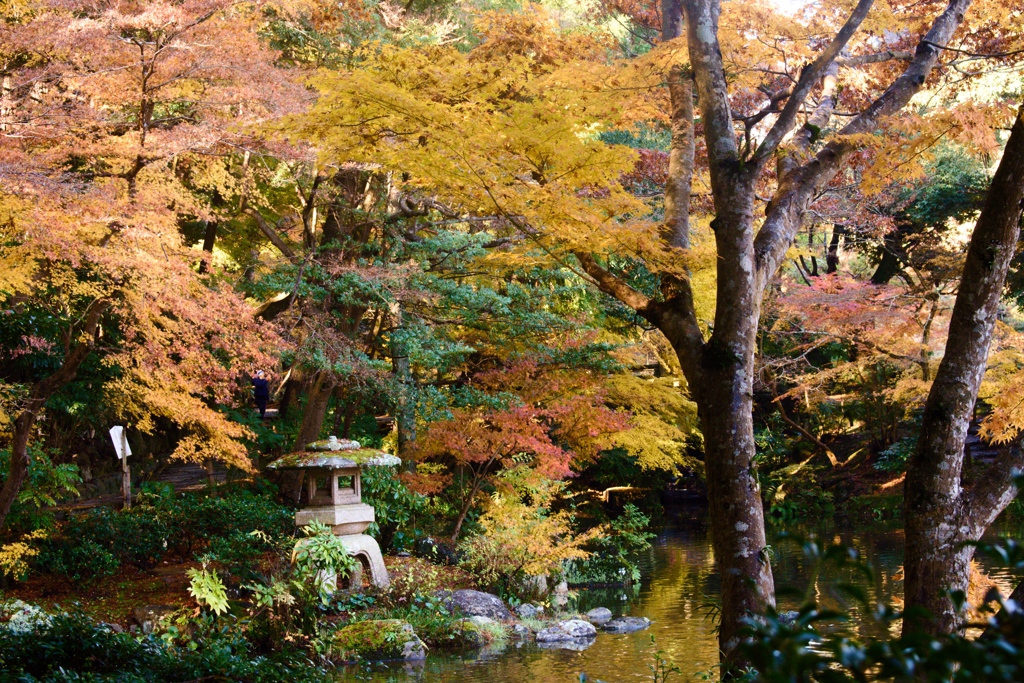 秋の庭園