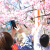 春の記録