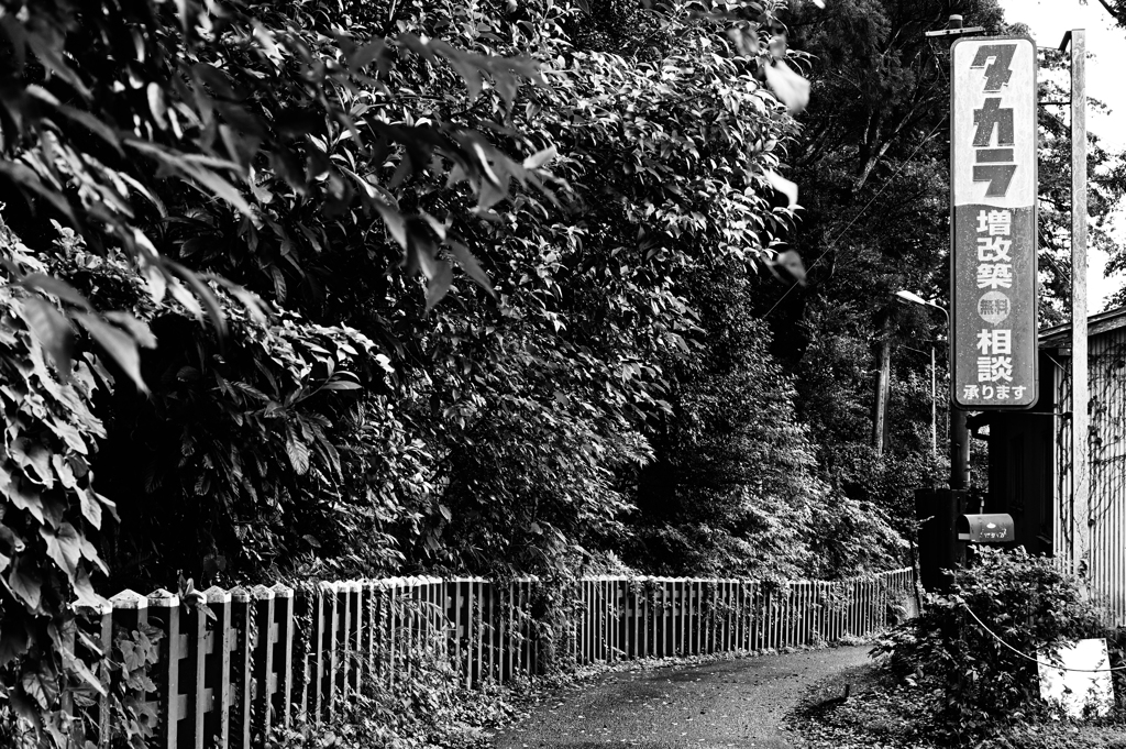 mono color #14