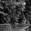 mono color #14