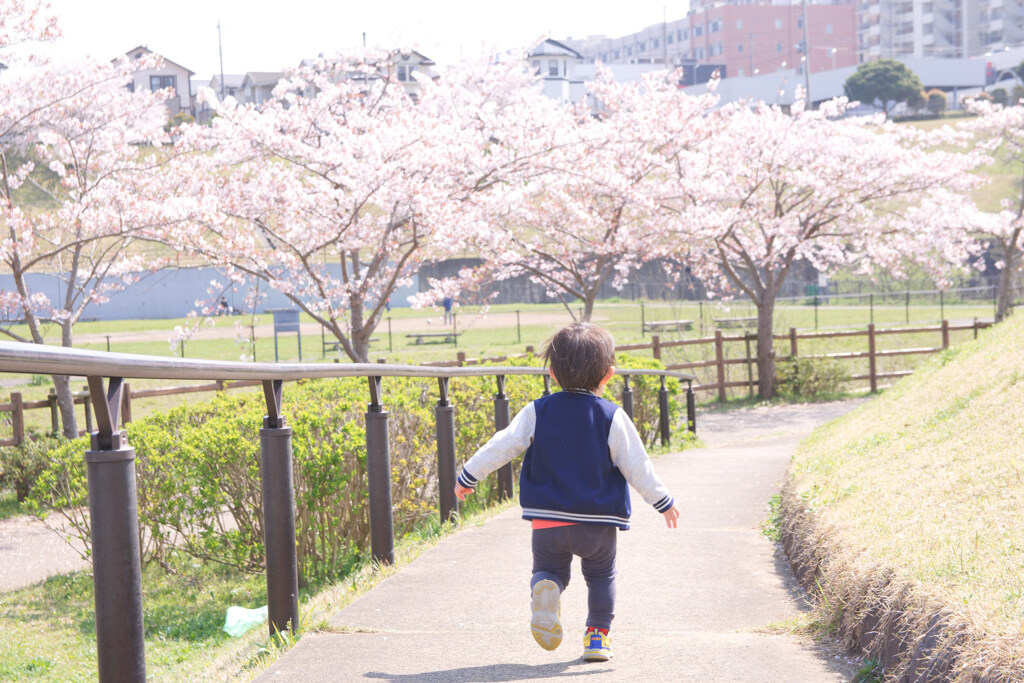 来年も