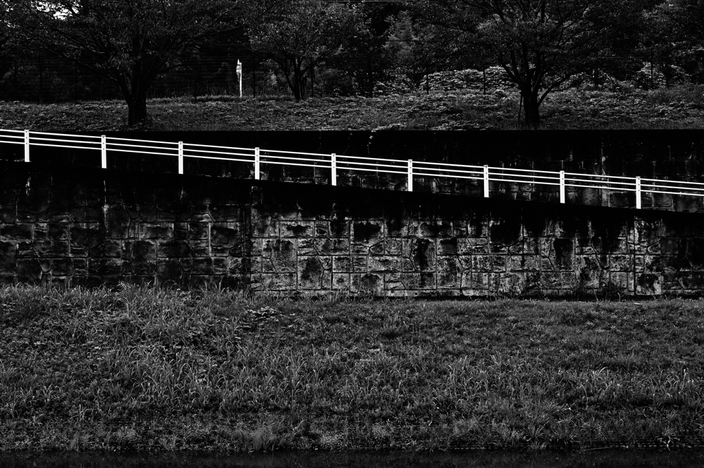 mono color #11