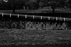 mono color #11