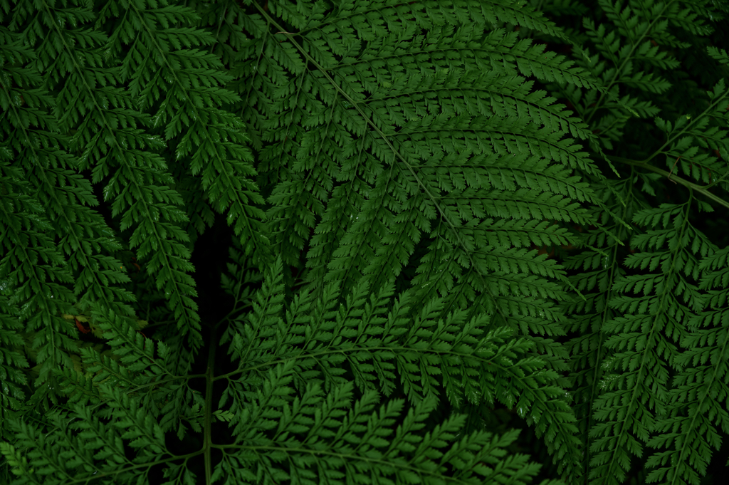 Texture