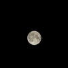 中秋の名月をキットズームレンズ（×1.3クロップ）で撮ってみる。