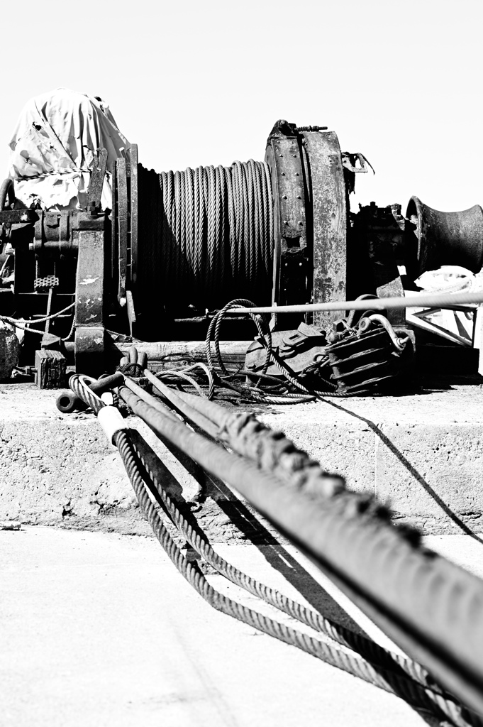 mono color #16
