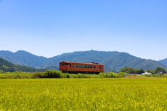オレンジの軌跡