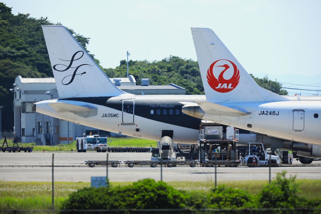 駐機