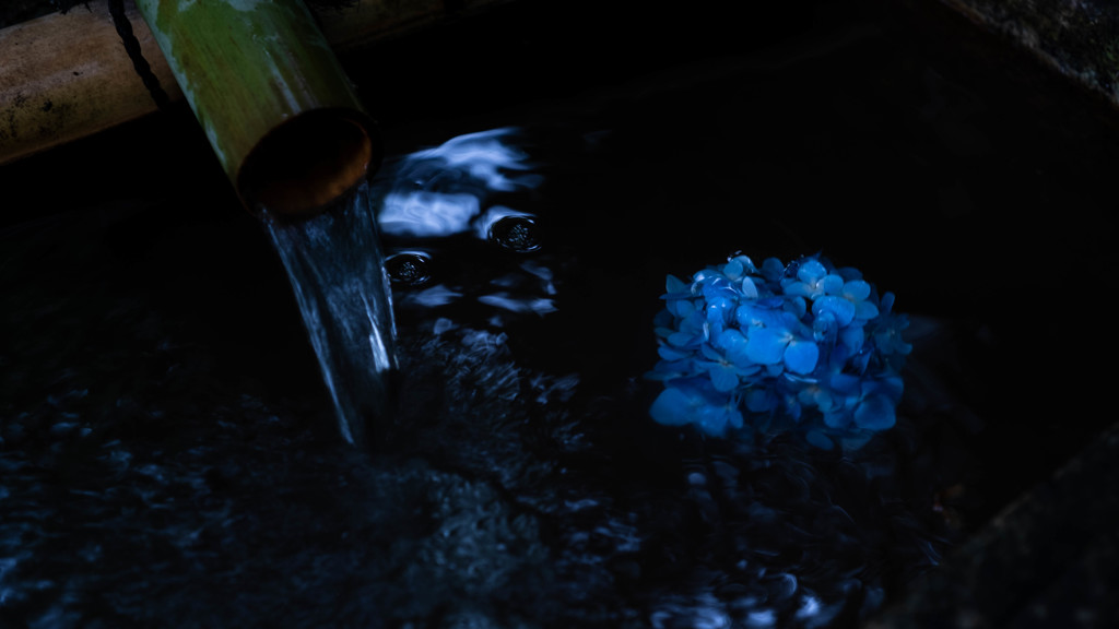 DSCF3296