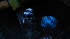 DSCF3296