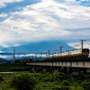 大山を望む