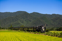 田舎の路線２