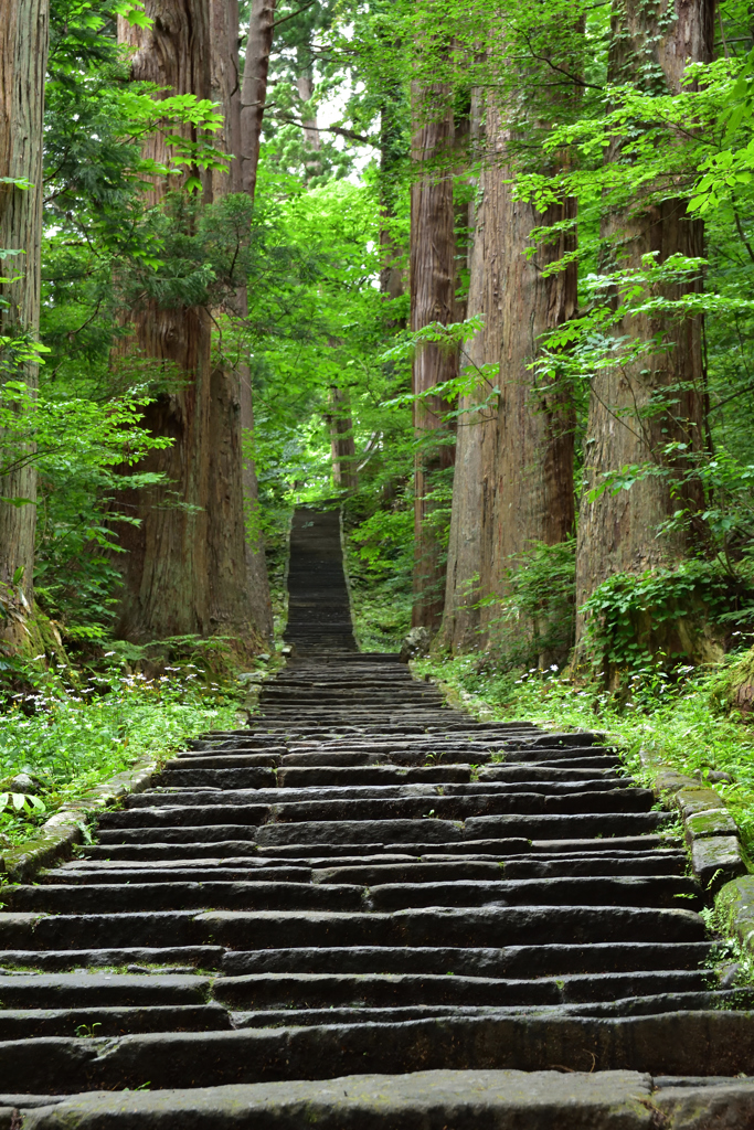 羽黒山の石段