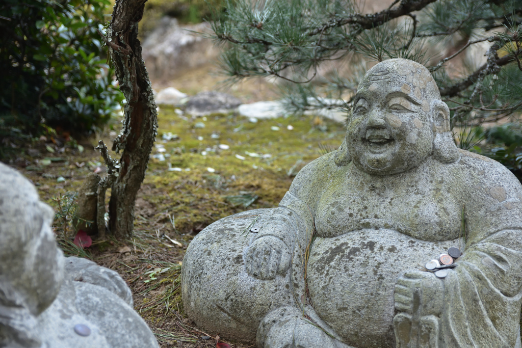 石が生きとる生きとる