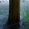 豪雨災害記録Ⅳ
