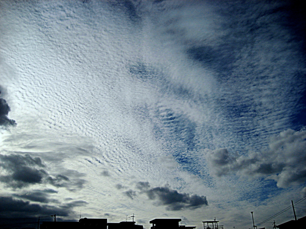 雲