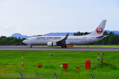 JAL B737-800Ⅱ