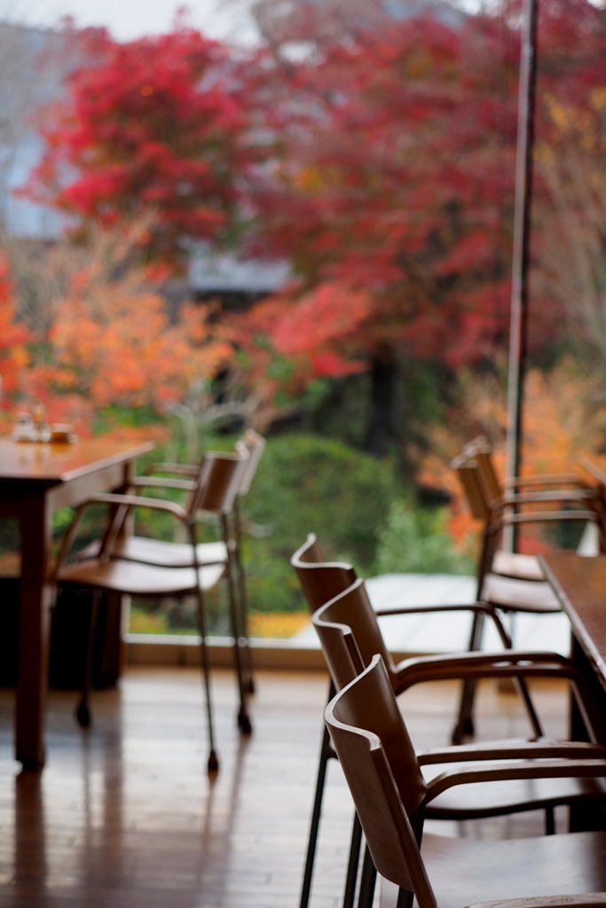 窓の外の紅葉