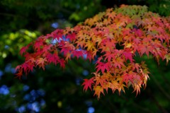 井山宝福寺