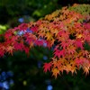 井山宝福寺