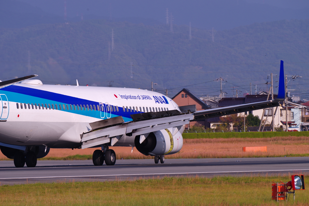 ANA ボーイング B737-800 JA56AN Ⅱ