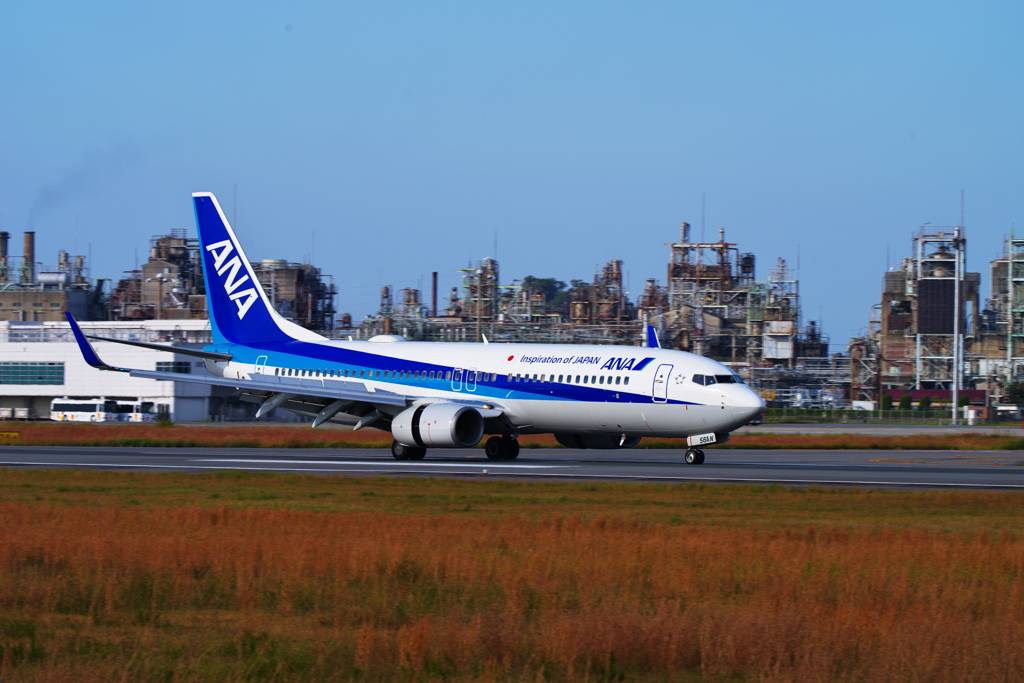 ANA ボーイング B737-800 JA56AN Ⅰ