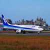 ANA ボーイング B737-800 JA56AN Ⅰ