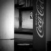 エコる・・コーラ！！