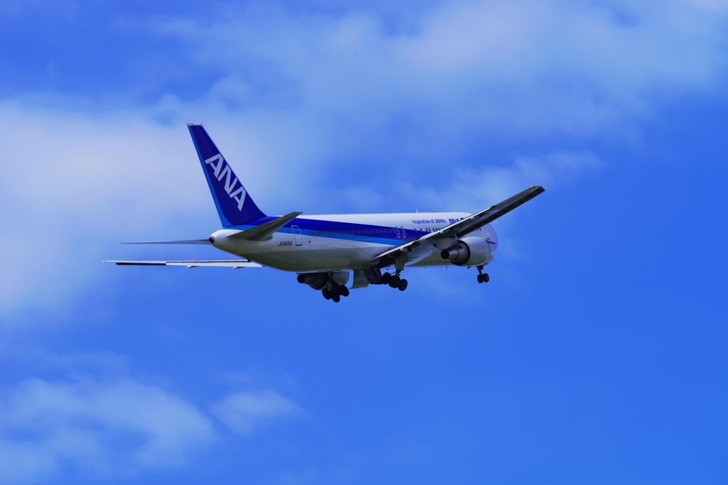 ANA B767-300Ⅱ