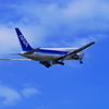 ANA B767-300Ⅱ