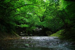 一枚岩の川床