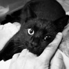 まだ名前はありません。