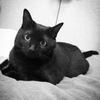 保護から3か月