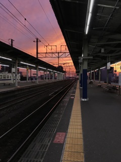 旅先にて