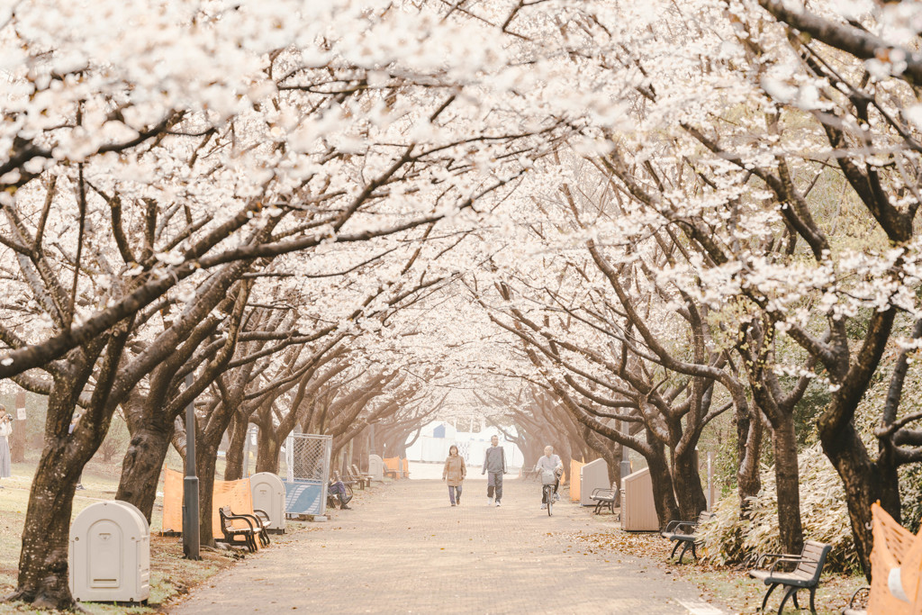 葛西臨海公園
