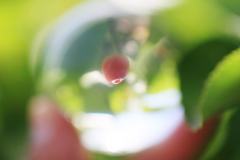 5D3_0050-4096