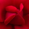 5745CB65-0A2E-4469-84A8-F1971EAC1101