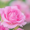 59B7785B-C52E-482E-9210-4CCF8A65DD5B